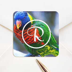 Sticker Carré Monogramme d'oiseau loriquet rouge vert bleu color