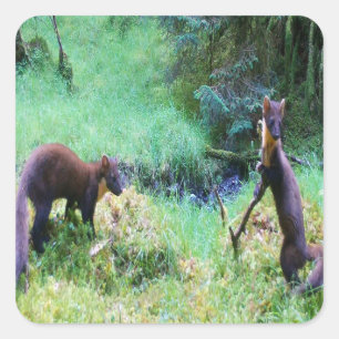 Sticker Carré Monsieur et Madame Martre des Bois Faune Sauvage d