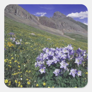 Sticker Carré Montagnes et fleurs sauvages dans une prairie alpi
