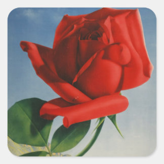 Sticker Carré Montreux vintage Rose rouge Suisse Lac Léman