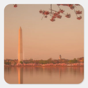 Sticker Carré Monument de Washington Sakura au coucher du soleil