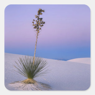 STICKER CARRÉ MONUMENT NATIONAL DE WHITE SANDS, NOUVEAU-MEXIQUE.