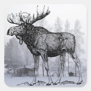 Sticker Carré Moose d'hiver