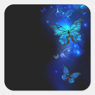Sticker Carré Morpho Butterfly in the Dark Background
