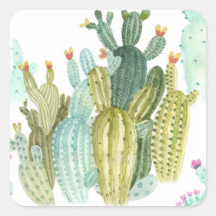 Sticker Carré Motif d'aquarelle vintage Cactus Blooming