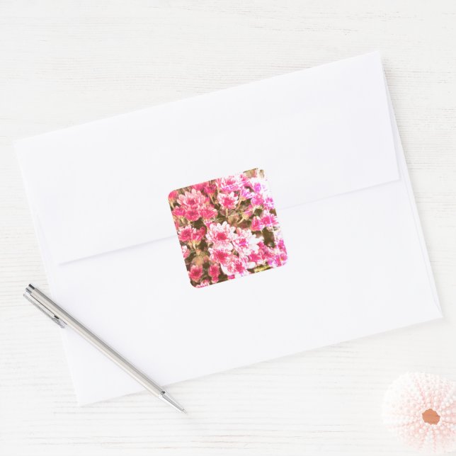 Sticker Carré Motif de floraison florale rose – Conception botan (Enveloppe)