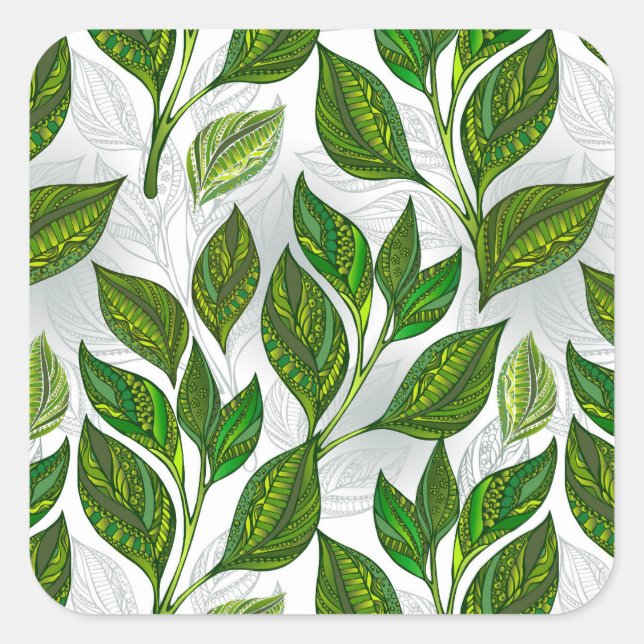 Sticker Carré Motif sans couture avec Feuilles de thé vert (Devant)