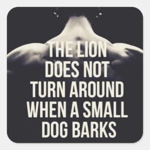 Sticker Carré Mots Motivationnels - Le Lion Ne Se Tourne Pas Aut