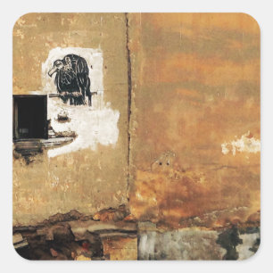 Sticker Carré mur urbain de vautour péruvien