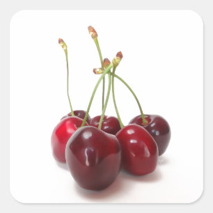 Sticker Carré mûre cerise