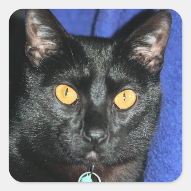 Sticker Carré Murphy (Devant)