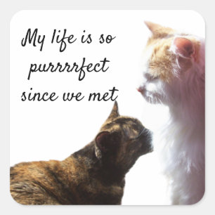 Sticker Carré My Life is Purrfect Photo Two Cats
