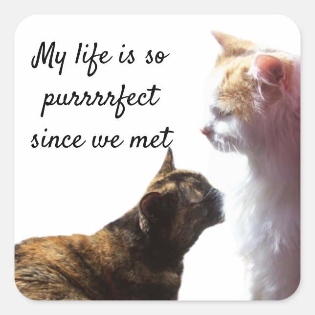 Sticker Carré My Life is Purrfect Photo Two Cats (Devant)