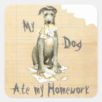 My Scottish Deerhound mangez mes devoirs