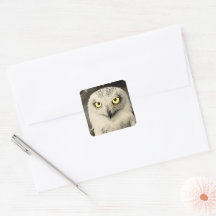 Mysterious Owl Newspaper Print - Folklore Vintage