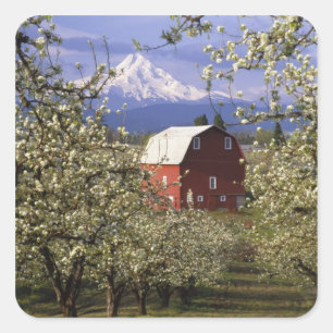 Sticker Carré N.A., États-Unis, Oregon, comté de Hood River. Rou