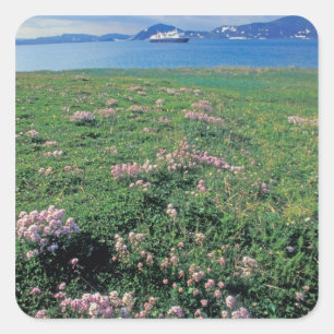 Sticker Carré NA, États-Unis, Alaska, Île Aléoutienne, Paysage a