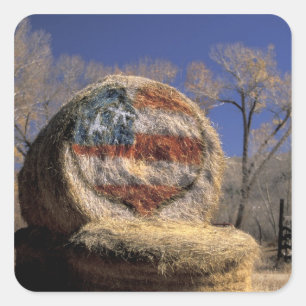 Sticker Carré NA, États-Unis, Colorado, Gunnison. Rouleau de foi