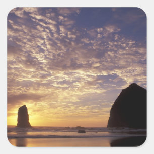 Sticker Carré NA, États-Unis, Oregon, côte de l'Oregon, Canon Be