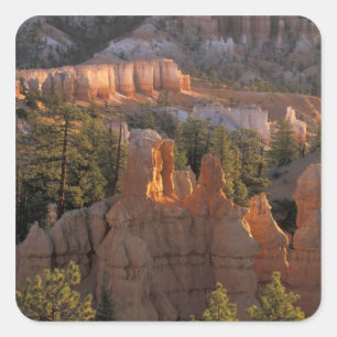 Sticker Carré NA, États-Unis, Utah, Bryce Canyon NP 2