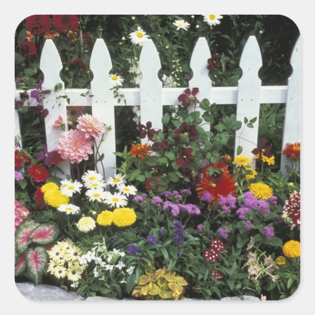 Sticker Carré NA, États-Unis, Washington, Sammamish, piquet blan (Devant)