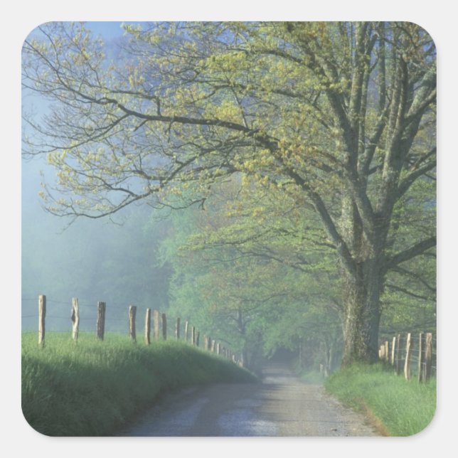 Sticker Carré NA, USA, Tennessee, Cades Cove, Great Smoky (Devant)