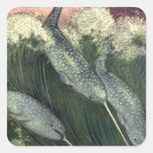 Sticker Carré Narvals, Animaux marins vintage Baleines Océan Ani