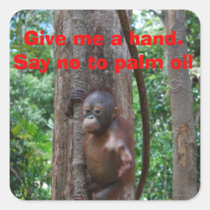 Sticker Carré Nature de conservation