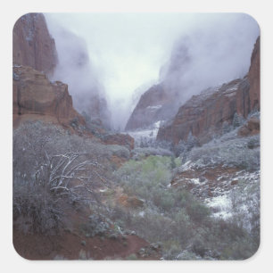 Sticker Carré NE, États-Unis, Utah, Zion NP, tempête de neige pr