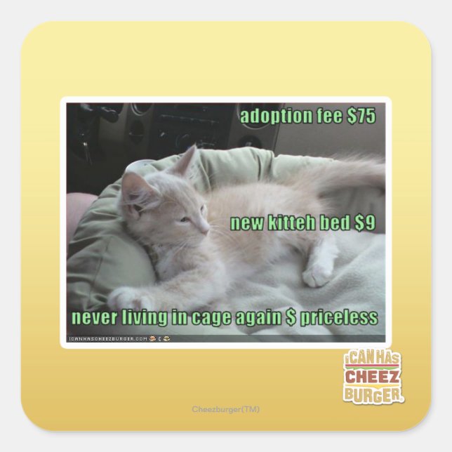 Sticker Carré Ne plus jamais vivre dans une cage (Devant)