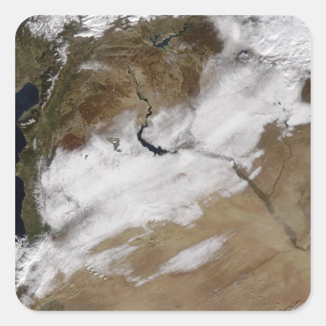 Sticker Carré Neige en Syrie (Devant)