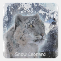 NEIGE LEOPARD Espèces menacées de Gros Chat