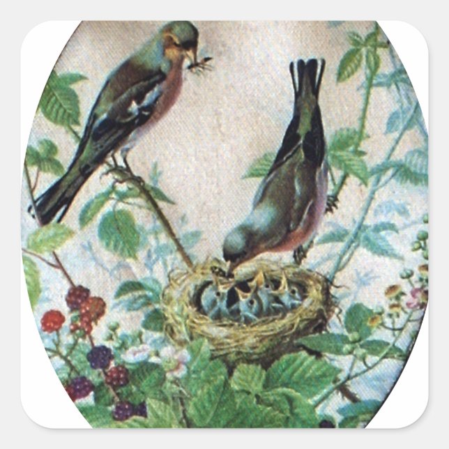 Sticker Carré Nest of Joy : L'amour du jeune esprit nourdissant  (Devant)