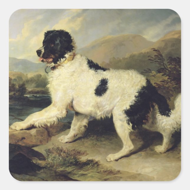 Sticker Carré Newfoundland Dog Called Lion, 1824 (oil on canvas) (Devant)