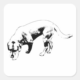 Sticker Carré Nez constant au sol