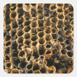 Sticker Carré Nid vide