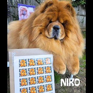 Sticker Carré NIKO chow  - Série PORTAL ArtMuse 