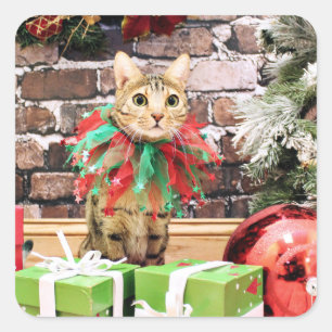 Sticker Carré Noël - chat du Bengale - Jack