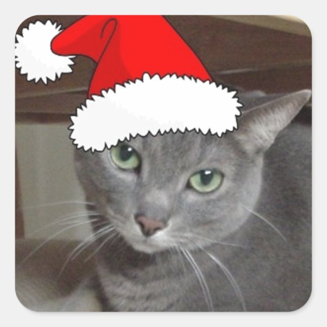 Sticker Carré Noël du chat bleu russe (Devant)
