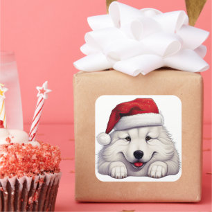 Sticker Carré Noël festif Samoyed