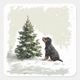 Sticker Carré Noël Rottweiler Chien Arbre de Noël
