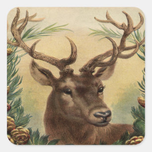 Sticker Carré Noël rustique de cerfs communs de mâle de nature