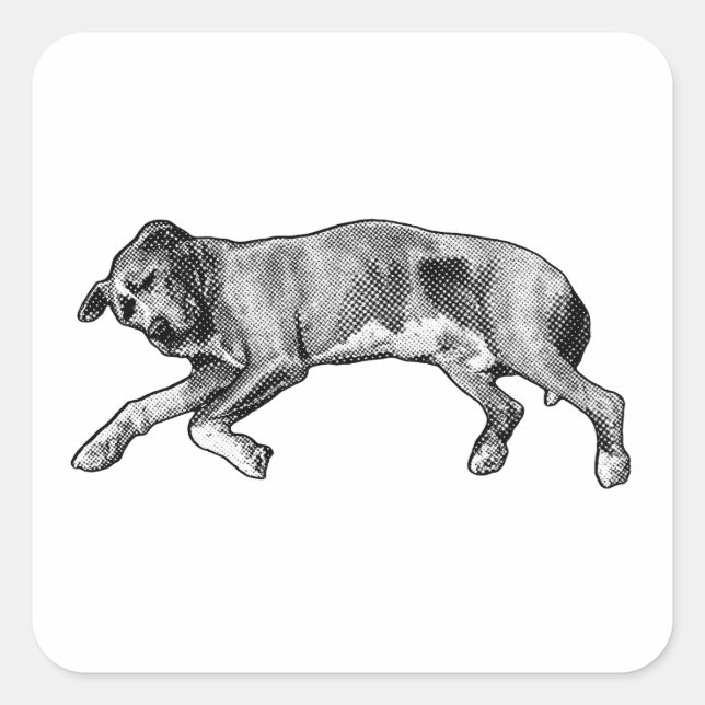 Sticker Carré Noel Stretch, Long and Light (Devant)