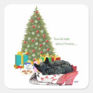 Sticker Carré Noël Terrier Écossais Sommeil