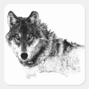 Sticker Carré Noir Blanc Inspiration Wolf Eyes