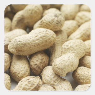 Sticker Carré Noix de singe.