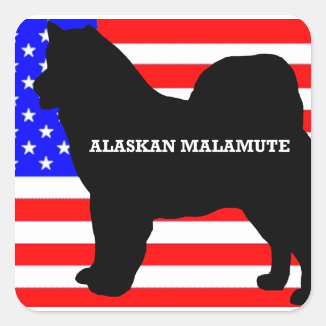 Sticker Carré nom de malamute en alaskan silo sur le drapeau (Devant)