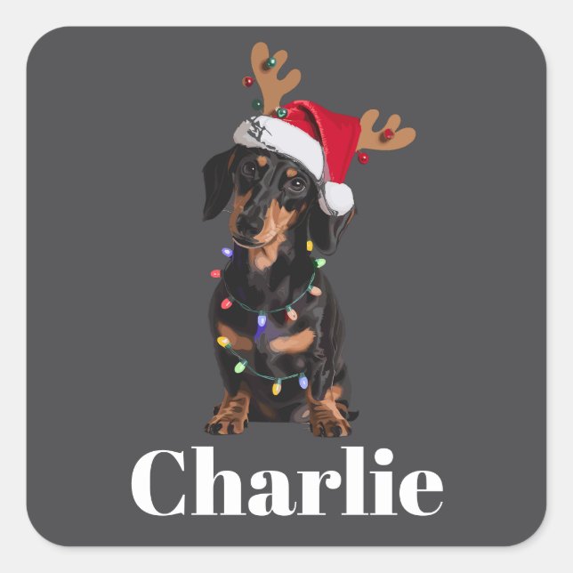 Sticker Carré Nom personnalisé Feux de Chien de Noël Dachshund (Devant)