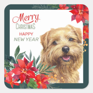 Sticker Carré Norfolk Terrier Poinsettia Frontière Noël