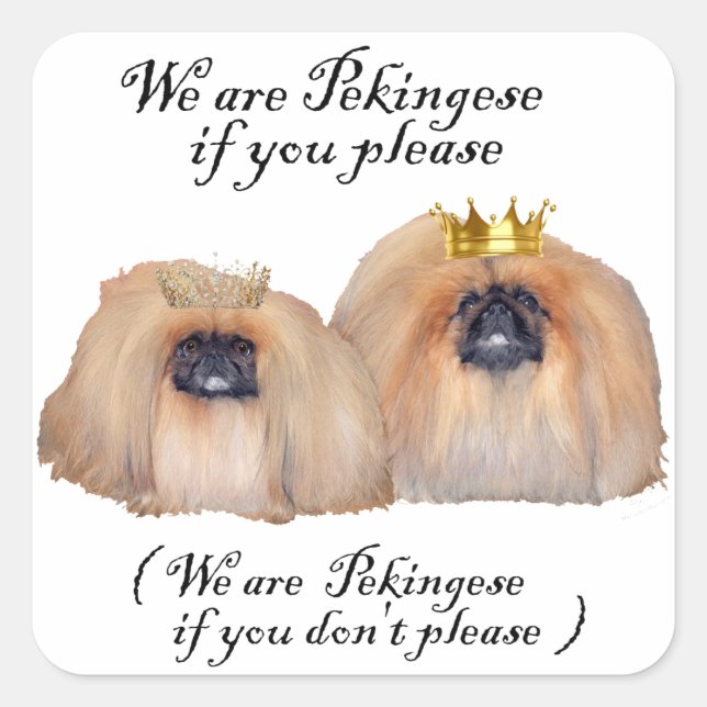 Sticker Carré Nous sommes Pekingese (Devant)